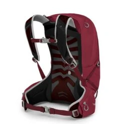 Osprey Talon 22 Backpack L/XL Cosmic Red -Samsoni Koffers Winkel image 1520