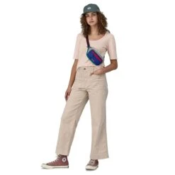 Patagonia Ultralight Black Hole Mini Hip Pack Patchwork Belay Blue 9 Patagonia Ultralight Black Hole Mini Hip Pack Patchwork Belay Blue -Samsoni Koffers Winkel image 2163